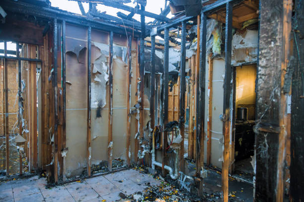 Professional Soot Cleanup technician working in Auburn, KY